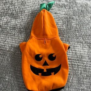 Dog pumpkin sweater
